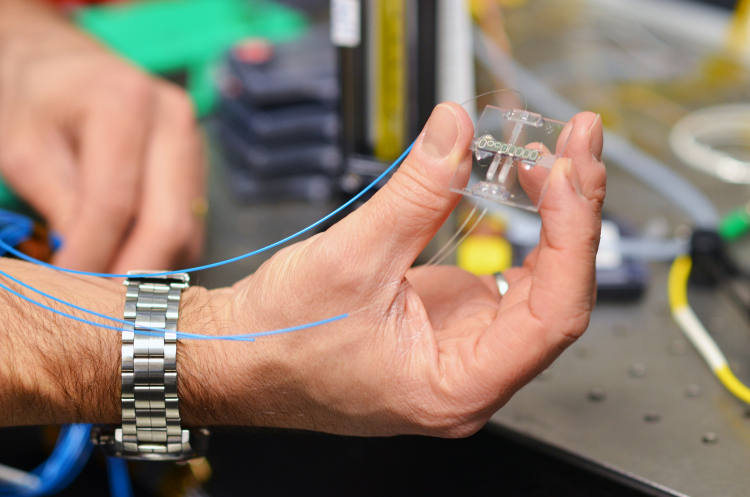 Sensores inteligentes detectarán la polución medioambiental a la velocidad de la luz Sensores inteligentes detectarán la polución medioambiental a la velocidad de la luz