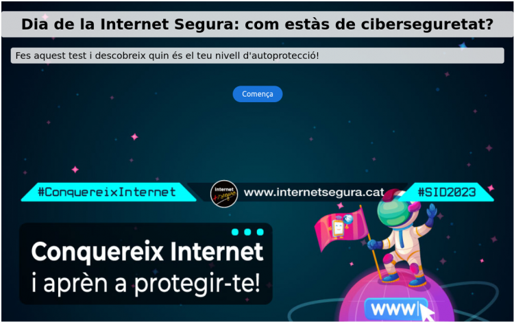 Imatge del qüestionari