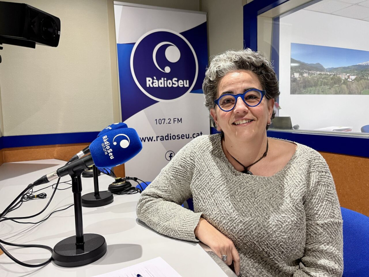 Imatge de RàdioSeu