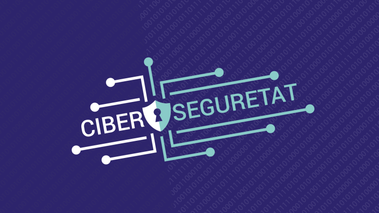 Imatge de ciberseguretat