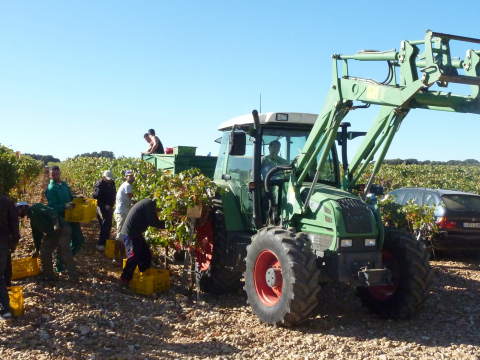 Convocades les Eleccions Agràries 2021 amb vot electrònic