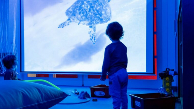 Imagen de la Ludoteca Guitard Imagen de la Ludoteca Guitard