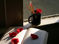 L'Òmnia Torreforta, implicada en els projectes dels participants