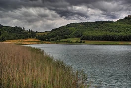 Guanyadors/ores del concurs "Un riu d'imatges"