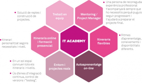 IT Academy
