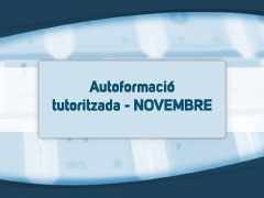 Autoformació tutoritzada de novembre