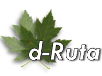 D-Ruta D-Ruta