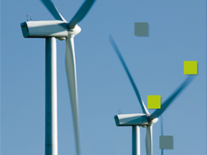 Imatge de la plana web d'EcoemprenedorXXI