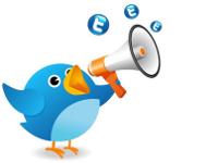 Imatge de la guia, un ocell amb la icona de Twitter