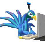 Imatge escrivint a l'ordinador