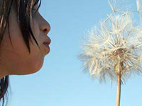 Nena bufant una flor. Imatge dels Premis Nayra