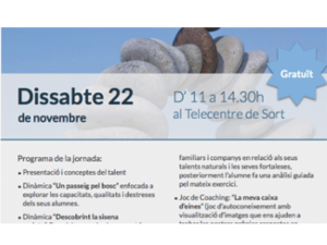 Taller sobre com descobrir els talents dels adolescents, a Sort