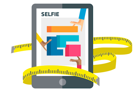 Il·lustració de l'eina SELFIE