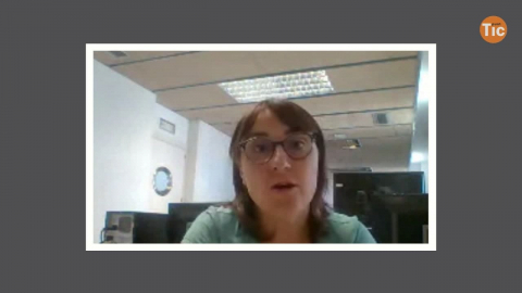 Teletreball: una realitat en transformació